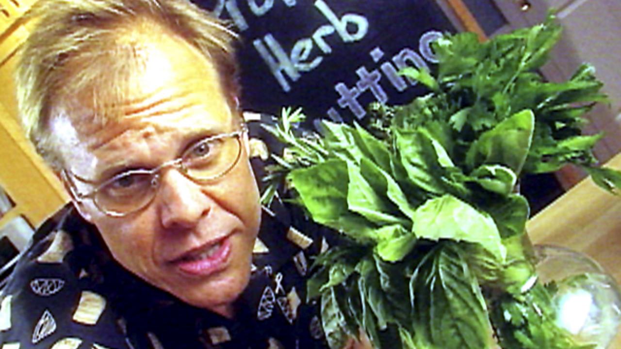 Herbs from A to Z