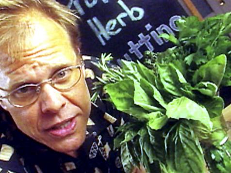 Herbs from A to Z