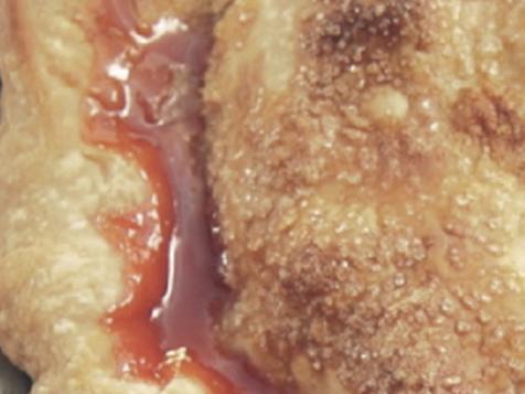 Nancy's Strawberry Rhubarb Pie