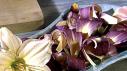 Edible Flower Tips