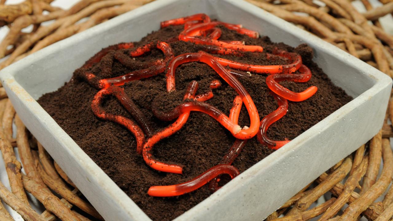 Jelly Worms in Dirt