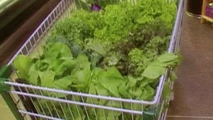 Leafy Greens 101