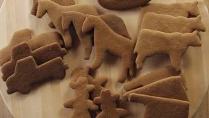 Ree's Gingerbread Cookies