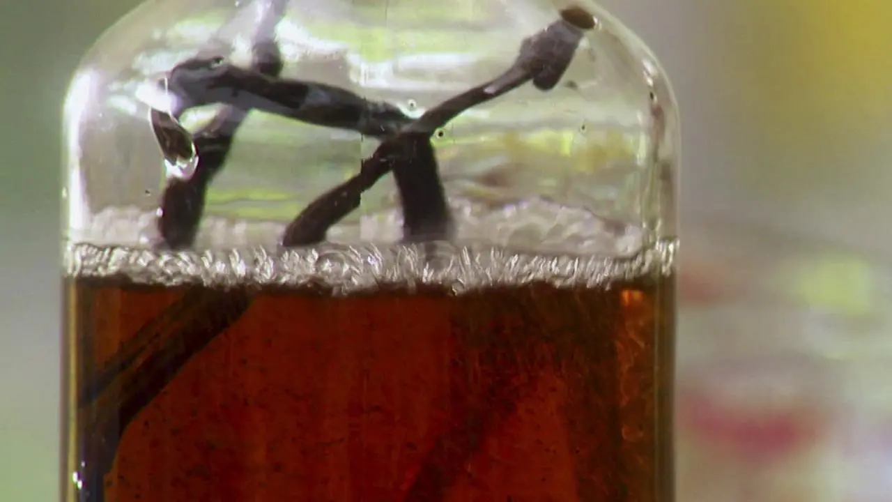 Homemade Vanilla Extract