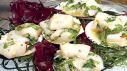 Ceviche Scallops