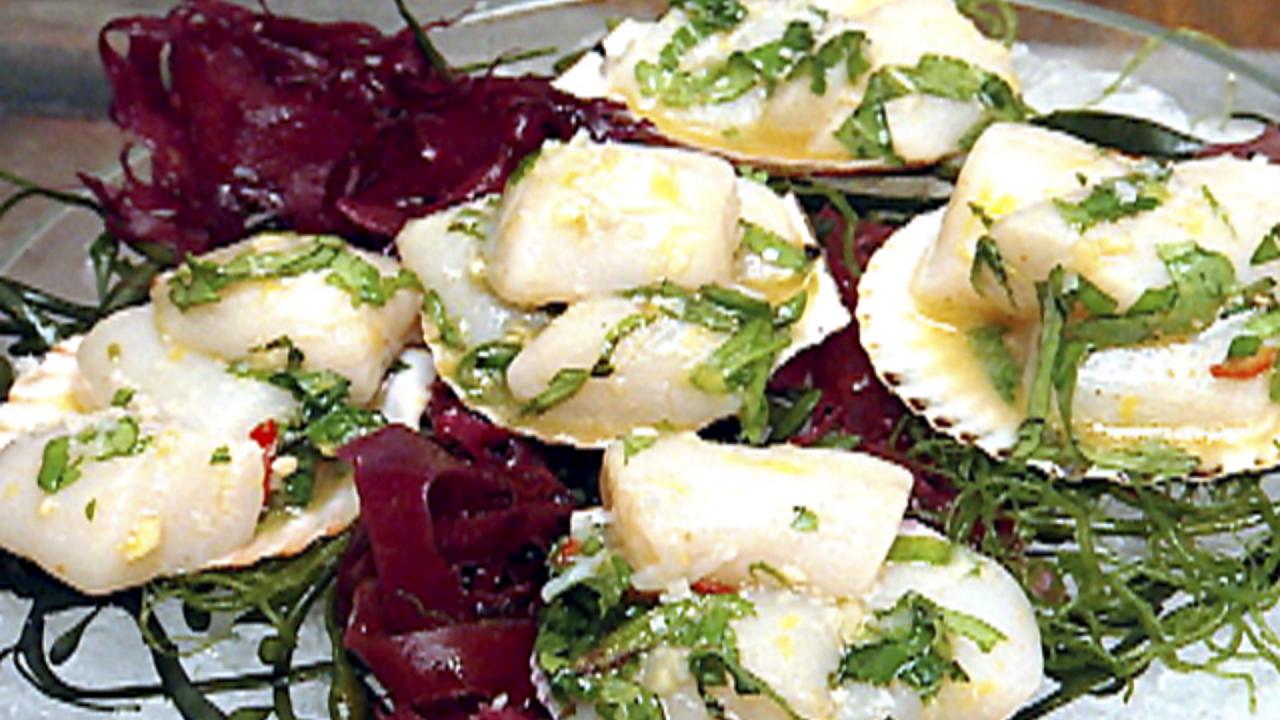 Ceviche Scallops