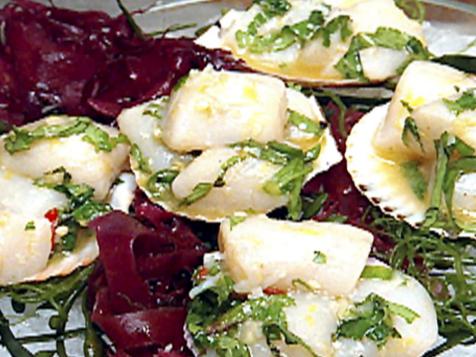 Ceviche Scallops