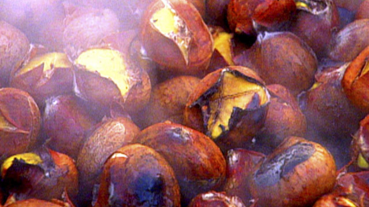 Chestnuts for the Holidays
