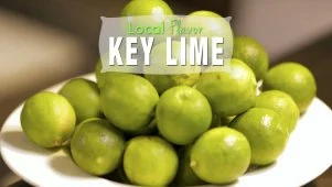 Local Flavor: Key Lime