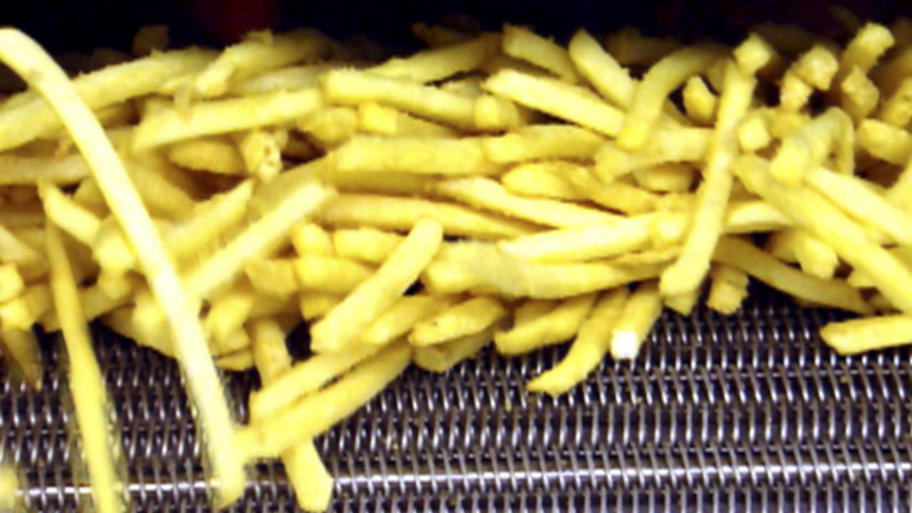 French Fry Heaven