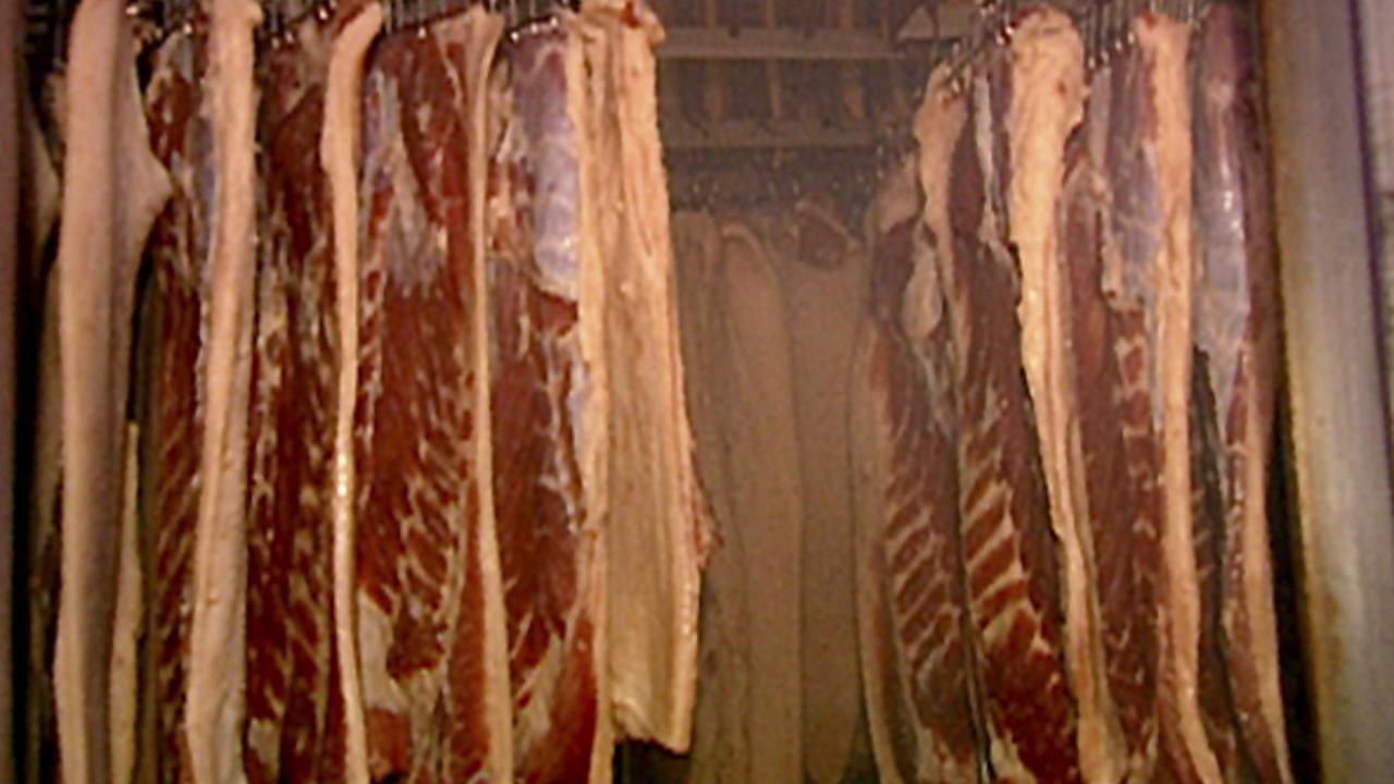 Bring Home the Bacon