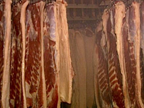 Bring Home the Bacon