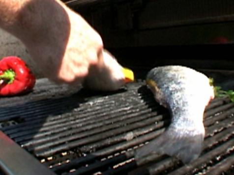 Grilled Mediterranean Sea Bass