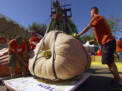 Pumpkins Are King of the Patch