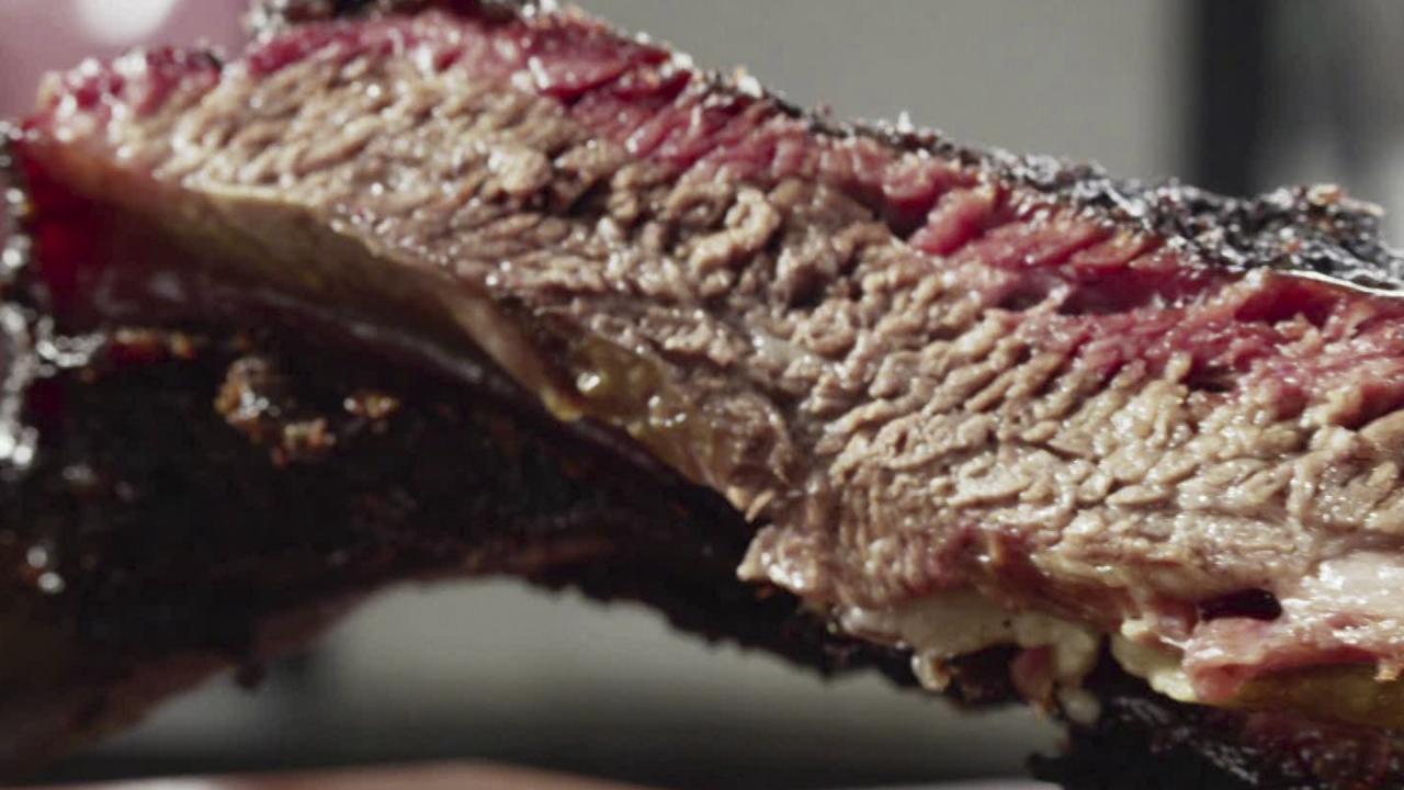 The Brontosaurus Rib