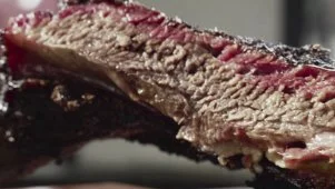 The Brontosaurus Rib