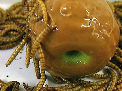 Creepy Crawly Candies