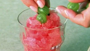 Refreshing Cranberry Granita