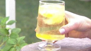 Citrus Wine Spritzers