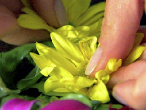 Herb Salad with Edible Flowers