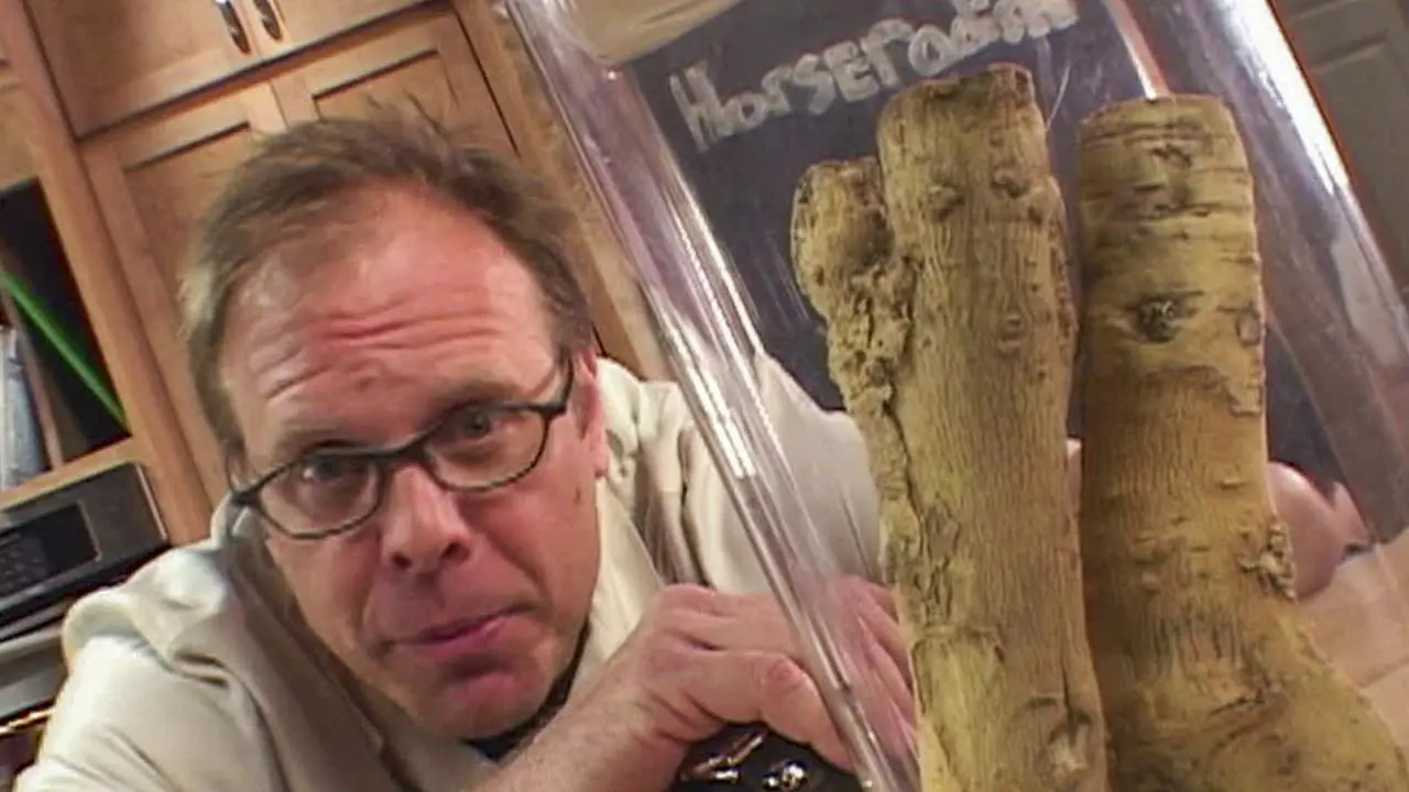 Horseradish Cream Sauce