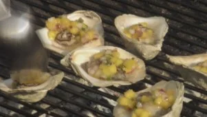 Oysters on the Grill