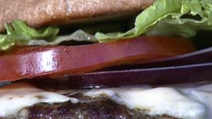 Texas Gourmet Roadside Shack