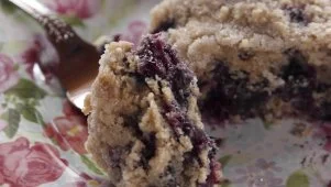 Ree's Blueberry Coffee Cake
