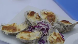 Oysters to Fall in Love With