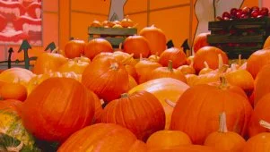The Crack Heard on Halloween