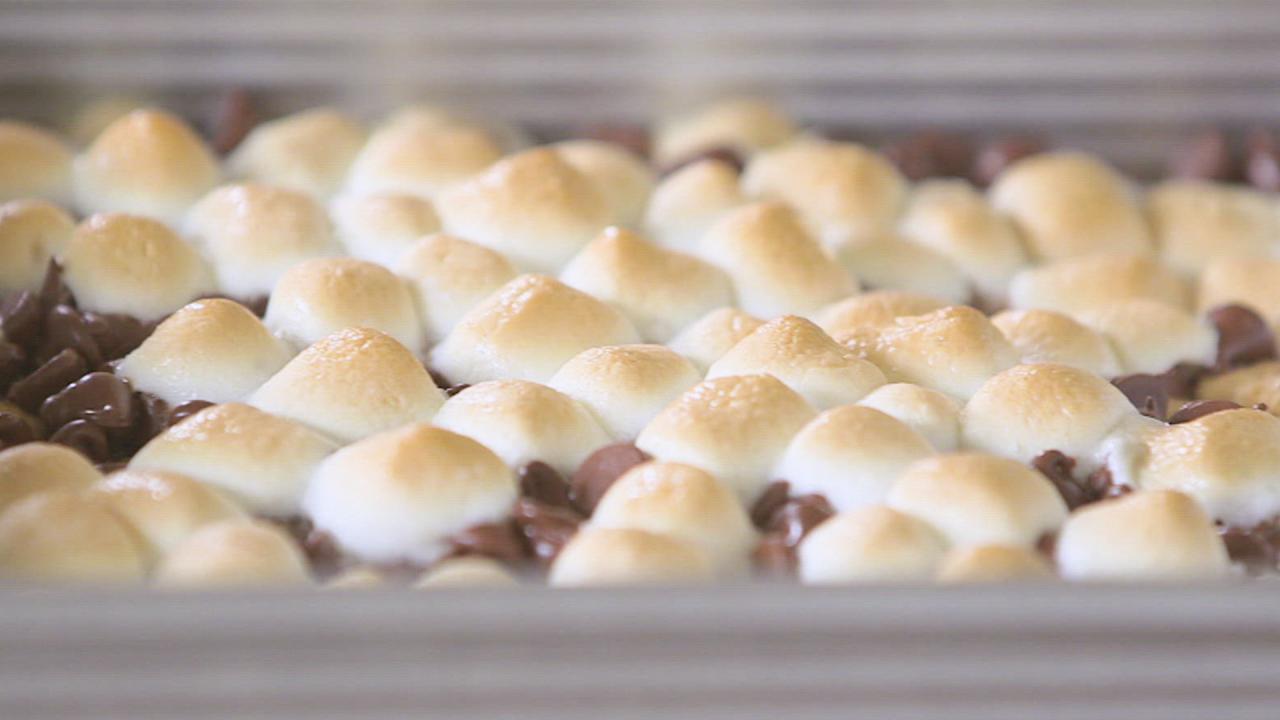 Daphne's S'mores Bars