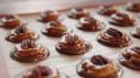 Pretzel Turtles