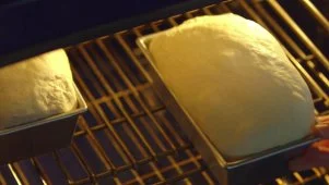 White Sandwich Bread