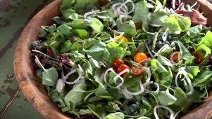 Nancy's Spring Greens Salad