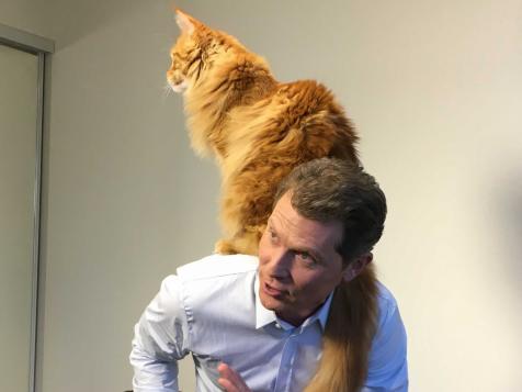 Meet Bobby's and Giada's Cats
