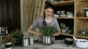 Tieghan's Indoor Herb Garden