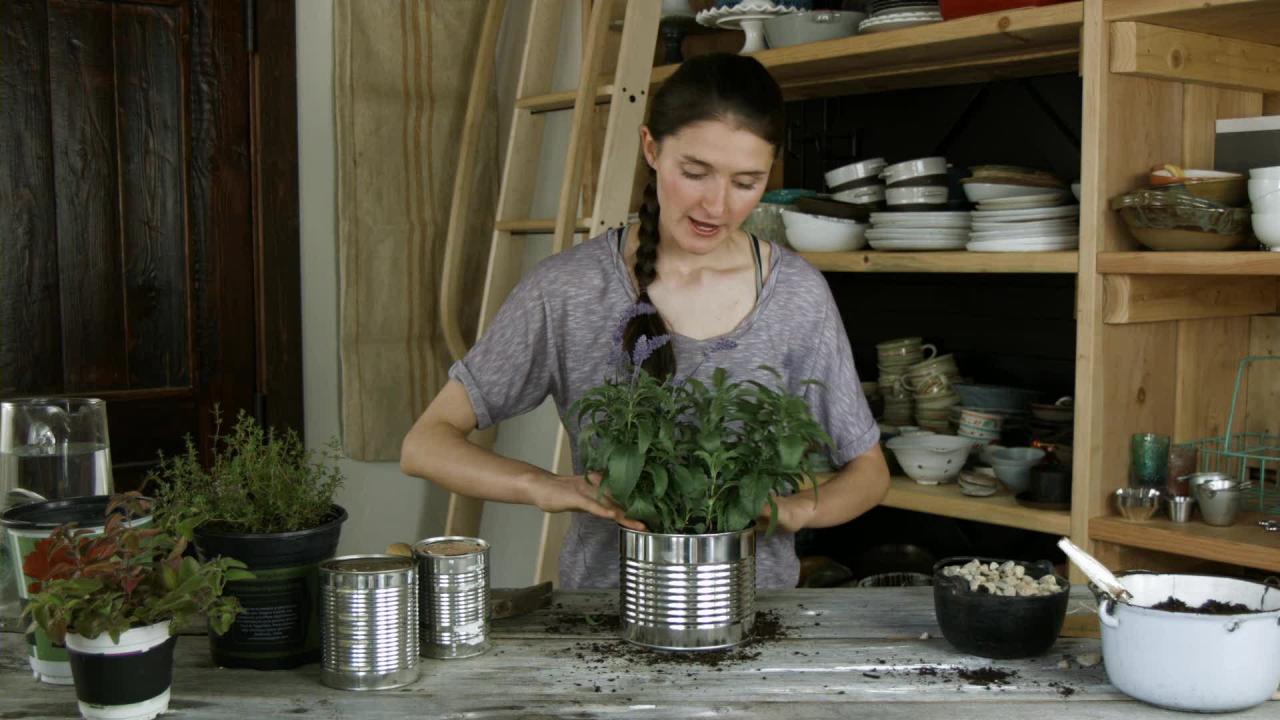 Tieghan's Indoor Herb Garden