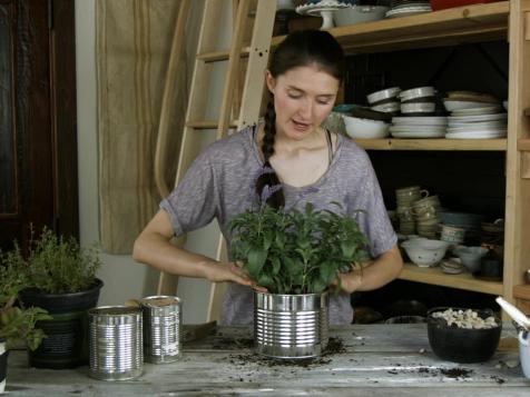 Tieghan's Indoor Herb Garden