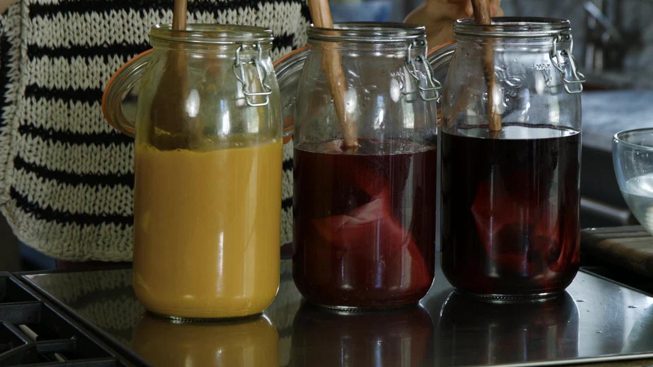Tieghan's Natural Fabric Dyes