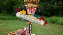 Carnival Dreams