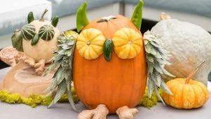 3 Ideas for No-Carve Pumpkins