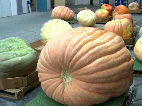 On-Set Pumpkin Patch