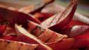 Grilled Sweet Potato Wedges