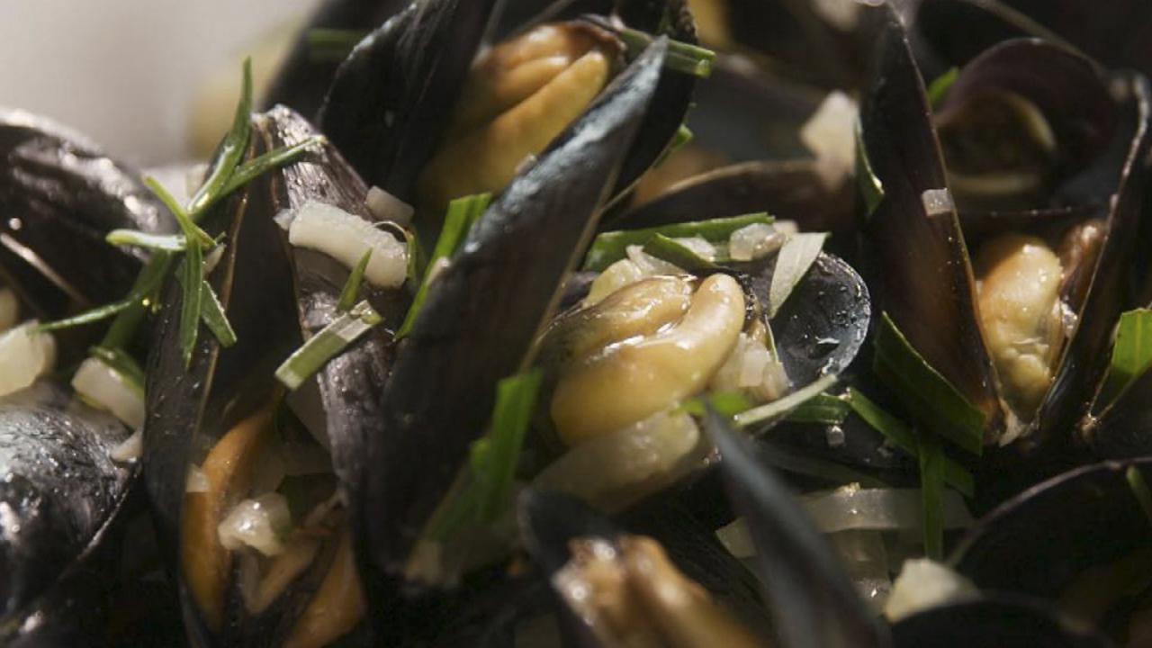 Mussels with Fennel and Beer