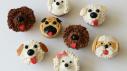 Adorable Dog Cupcakes
