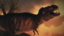 Amazing Monsters
