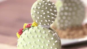 Cactus Macarons