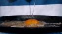 Slow-Mo Eggs