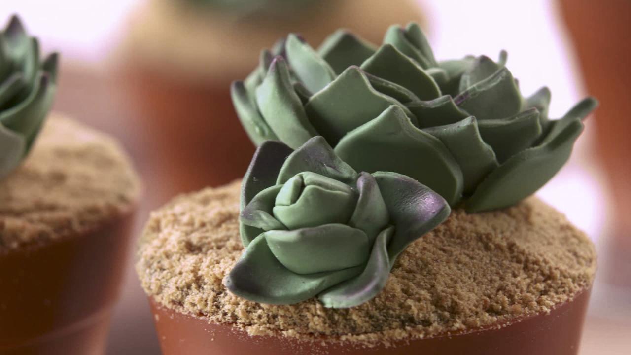 Succulent Cakes