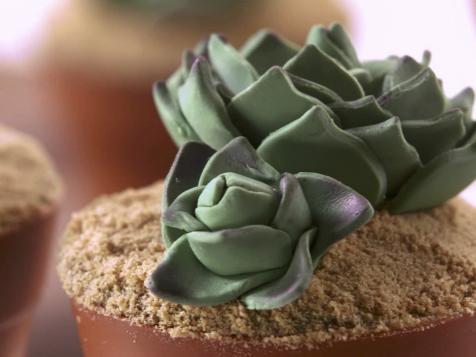 Succulent Cakes